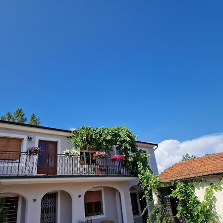 La Casa Nella Vigna Colline Del Vino Διαμέρισμα Capannori Εξωτερικό φωτογραφία
