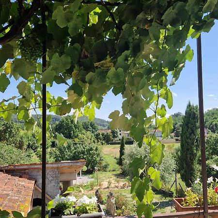 La Casa Nella Vigna Colline Del Vino Διαμέρισμα Capannori Εξωτερικό φωτογραφία