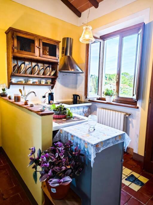 La Casa Nella Vigna Colline Del Vino Διαμέρισμα Capannori Εξωτερικό φωτογραφία