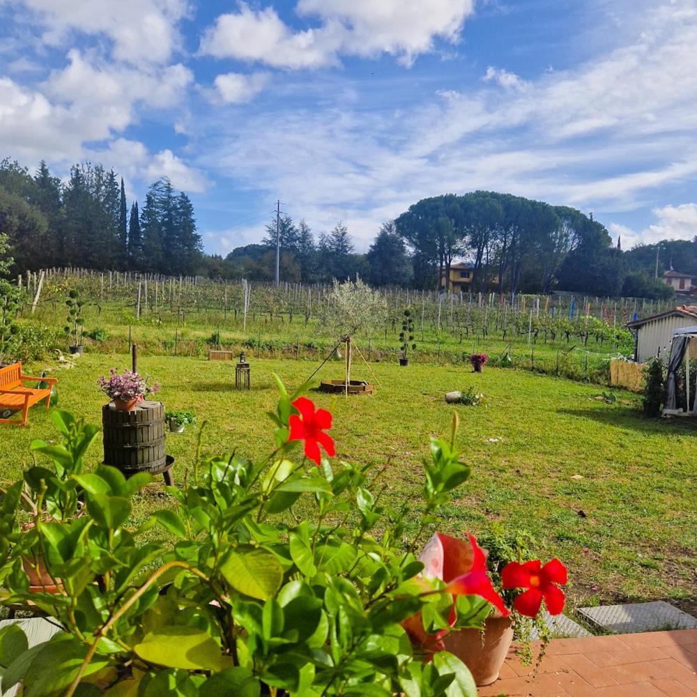 La Casa Nella Vigna Colline Del Vino Διαμέρισμα Capannori Εξωτερικό φωτογραφία