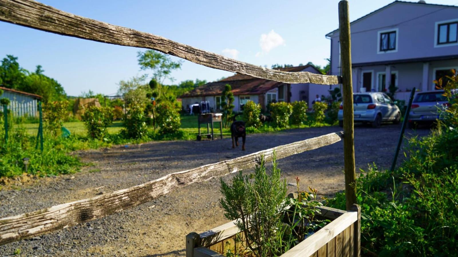 La Casa Nella Vigna Colline Del Vino Διαμέρισμα Capannori Εξωτερικό φωτογραφία